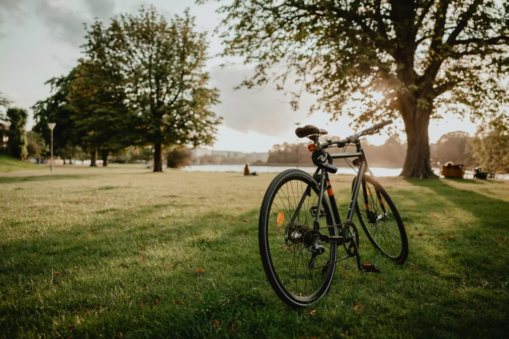 Fahrrad steht auf einer grünen Wiese mit Bäumen und See im Hintergrund bei Sonnenuntergang im Schwarzwald Resort Maison
