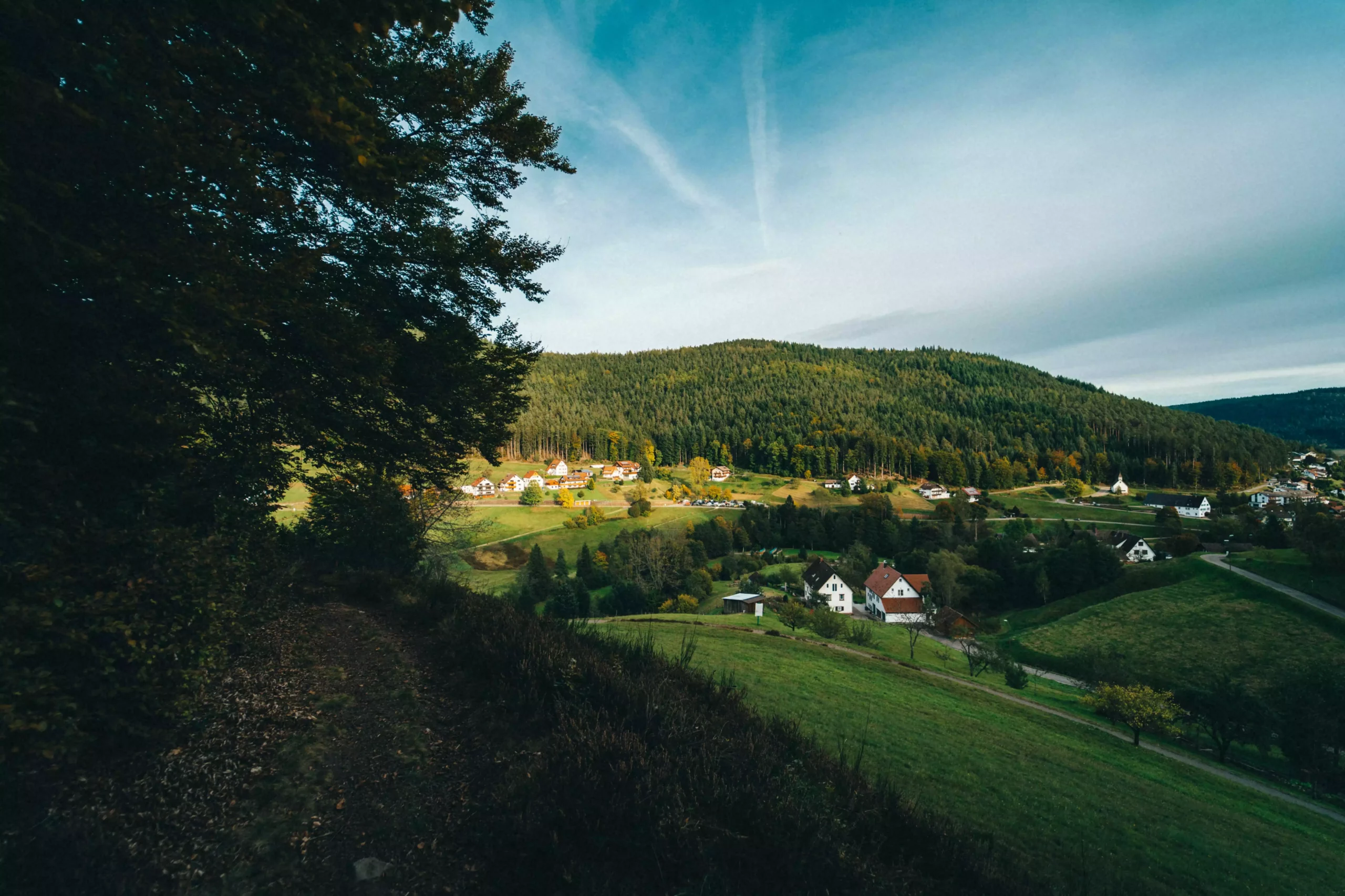 Blick auf ein Dorf mit Häusern und grünen Wiesen im Schwarzwald, umgeben von bewaldeten Hügeln unter blauem Himmel