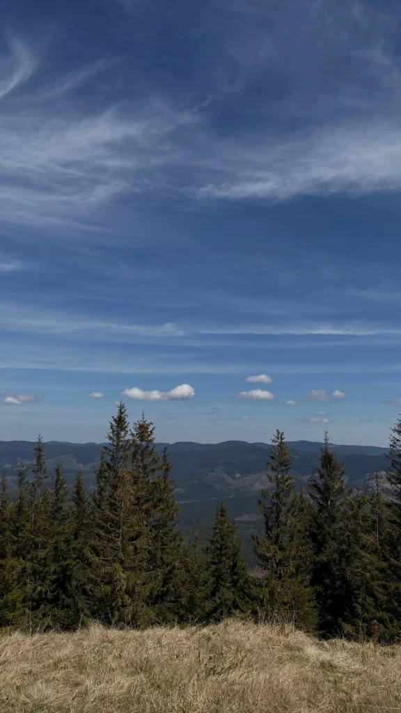 Panoramablick auf Tannenwald und Berge im Schwarzwald unter blauem Himmel mit vereinzelten Wolken