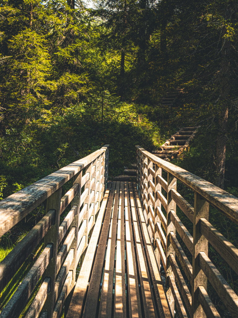 Holzbrücke im sonnendurchfluteten Schwarzwald mit Waldweg und Treppe im Hintergrund, Maison Talmühle Resort Umgebung