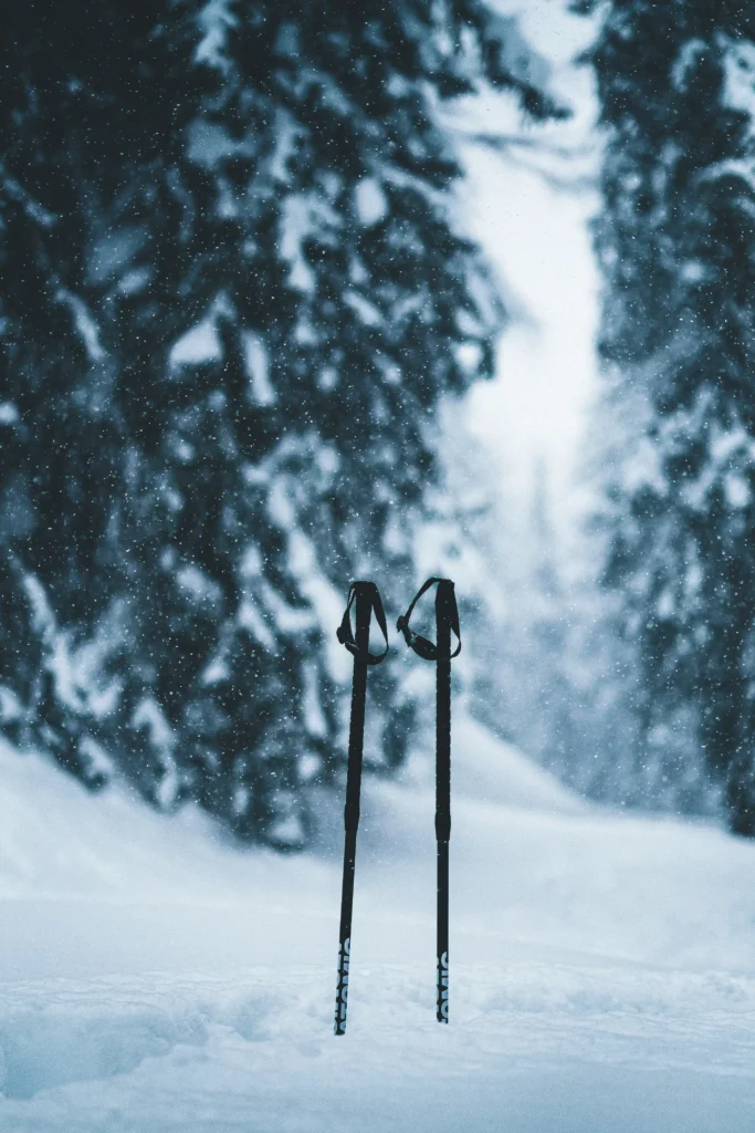 Zwei Skistöcke stecken im Schnee vor verschneiten Tannen im Schwarzwald bei Schneefall im Maison Talmühle Resort.