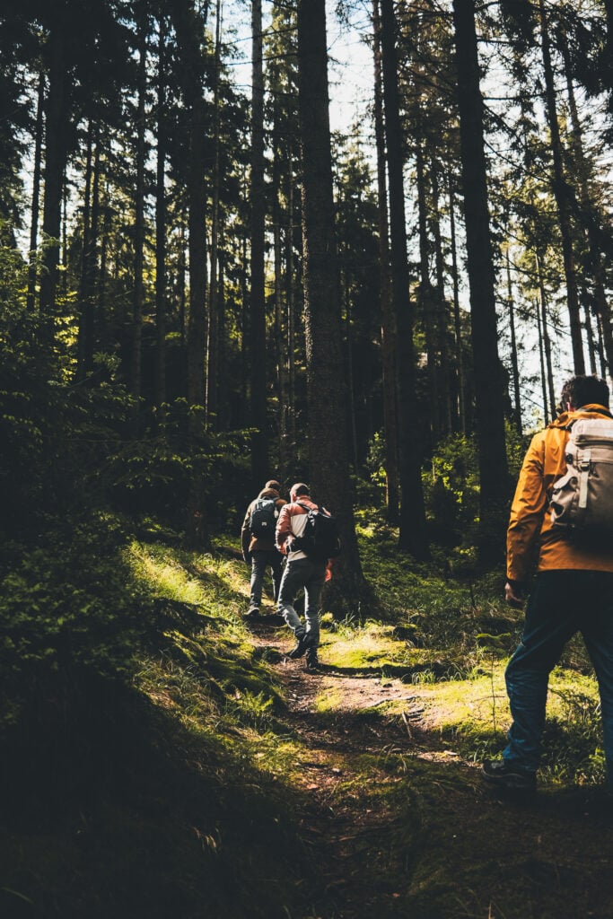 Drei Wanderer mit Rucksäcken auf schmalem Waldweg im Schwarzwald bei Maison Talmühle Resort und Spa